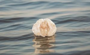 The Discovery of C-Spot and U-Spot: A Guide for Female Masturbation